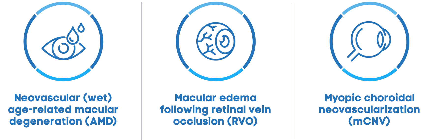 Neovascular (wet) age-related macular degeneration (AMD) | Macular edema following retinal vein occlusion (RVO) | Myopic choroidal neovascularization (mCNV)